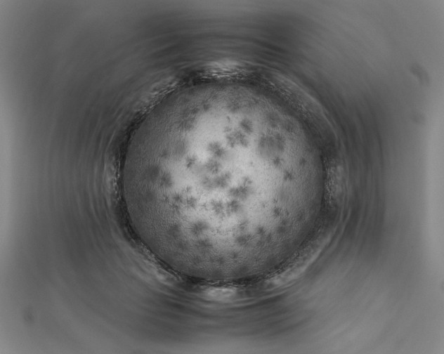 X0000112730653200909031445