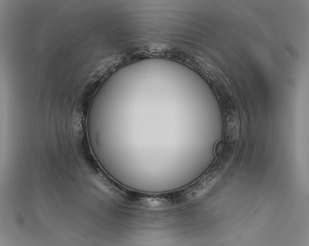 X0000112730654200909031445