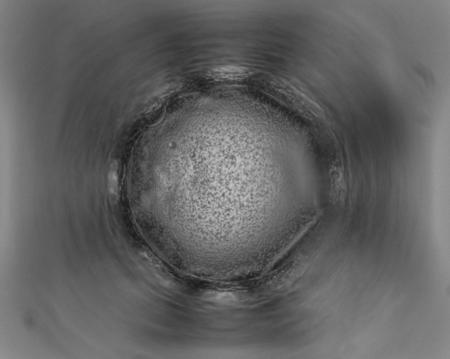 X0000112730655200909031445