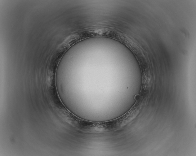 X0000112730656200909031445