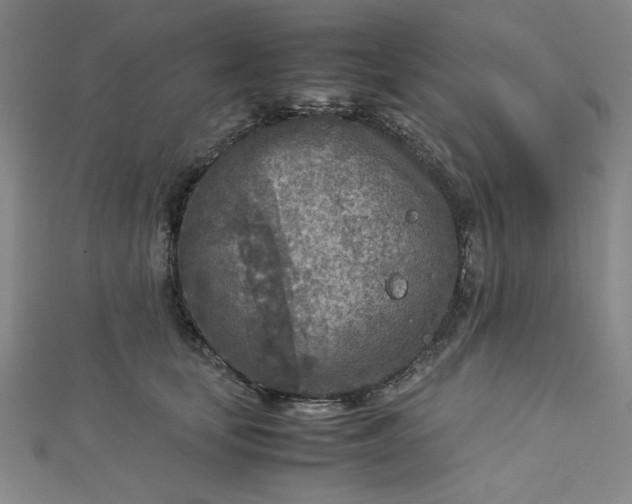 X0000112730659200909031446