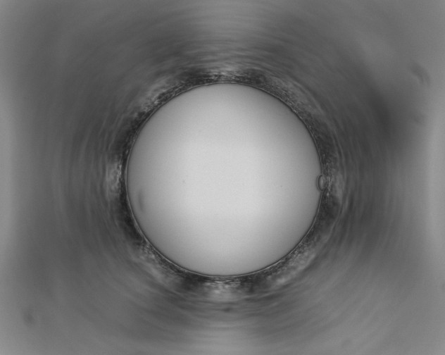 X0000112730660200909031446