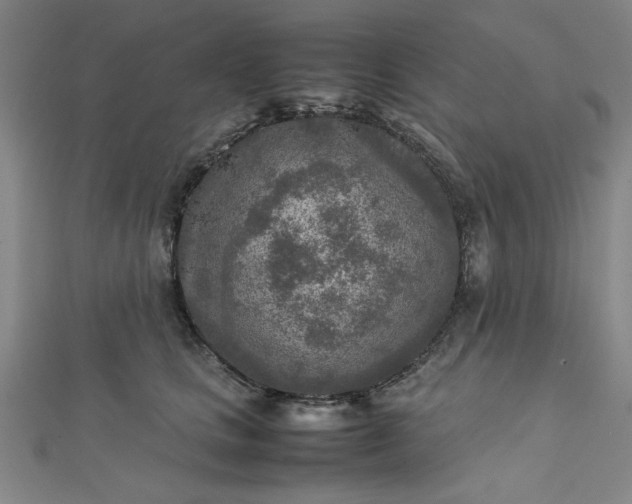 X0000112730661200909031446