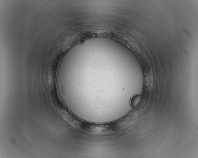 X0000112730662200909031446