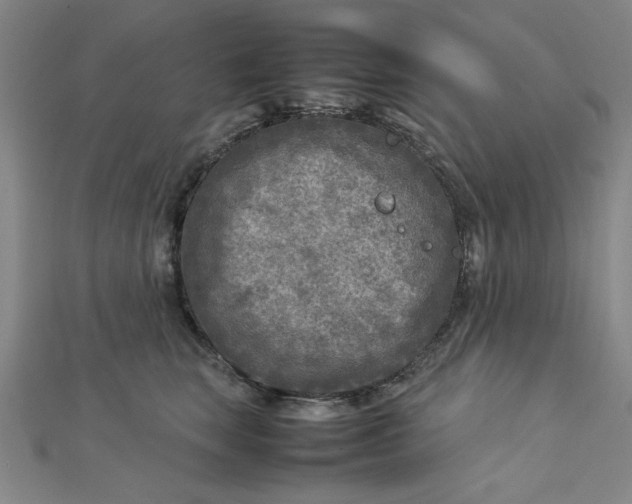 X0000112730663200909031446