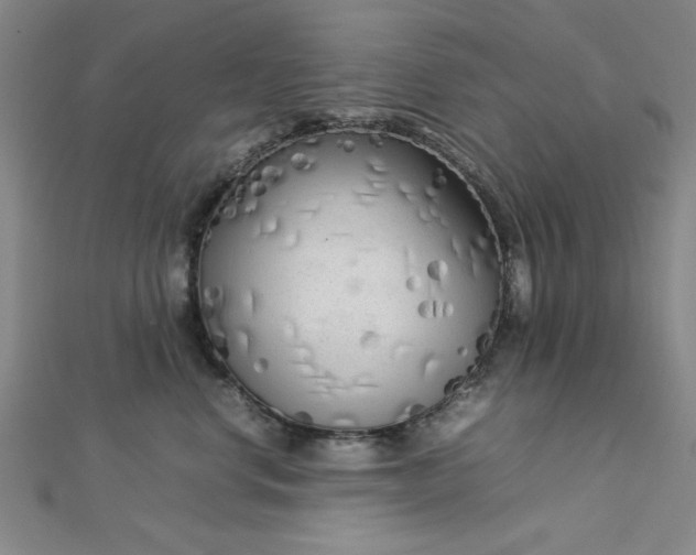 X0000112730668200909031446