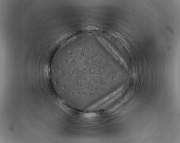 X0000112730669200909031446