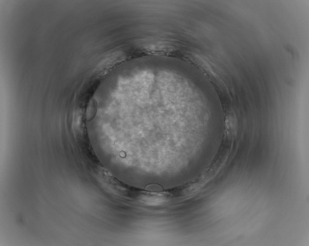 X0000112730671200909031446