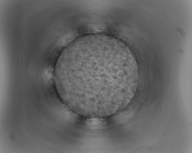 X0000112730672200909031446