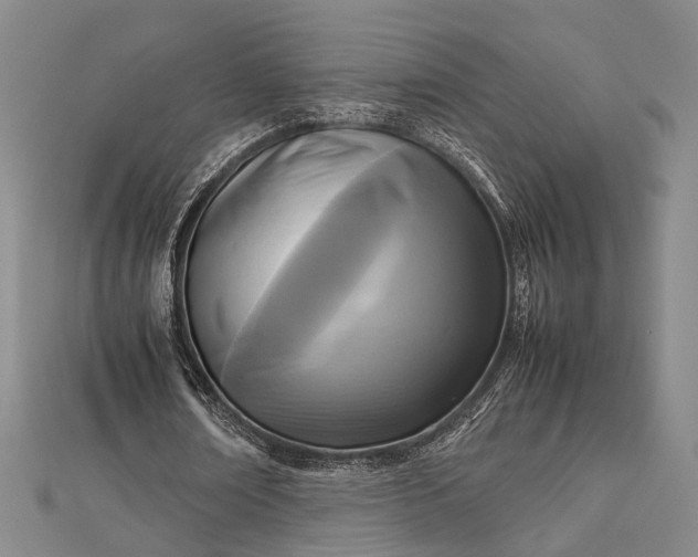 X0000112730674200909031445