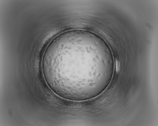 X0000112730675200909031445