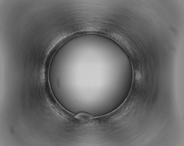 X0000112730676200909031445