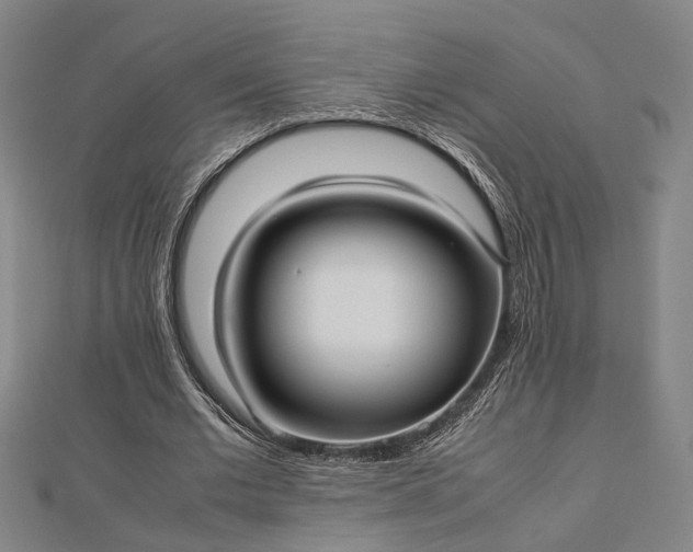 X0000112730677200909031445