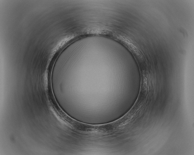 X0000112730678200909031445