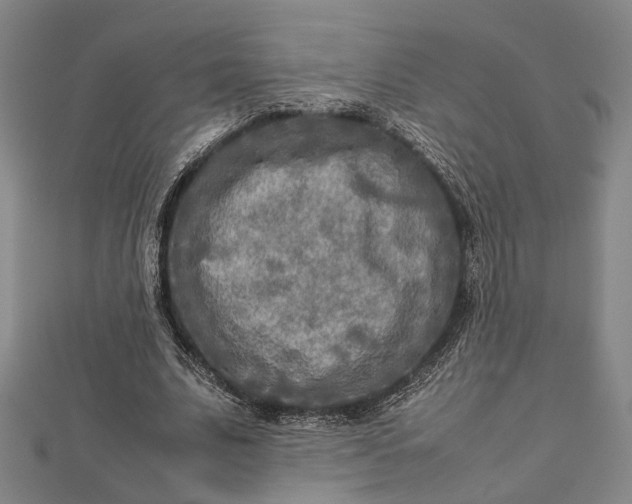 X0000112730679200909031445