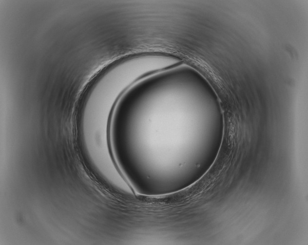 X0000112730680200909031445