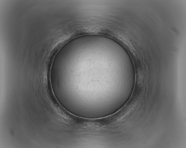 X0000112730681200909031445