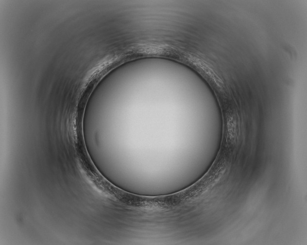 X0000112730682200909031445