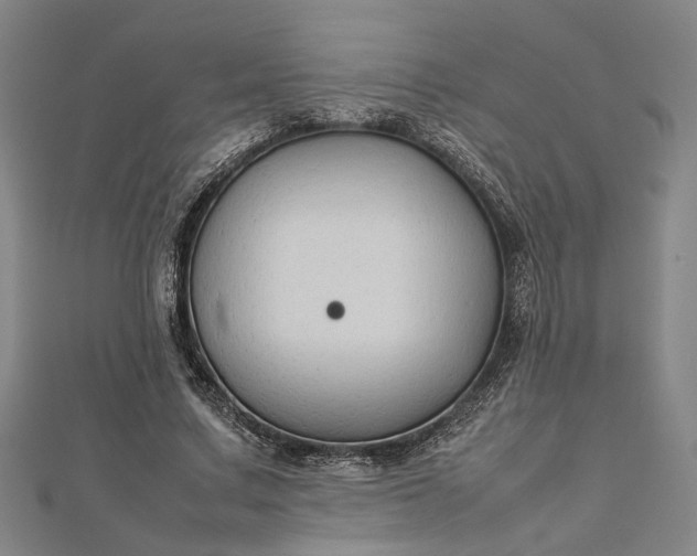 X0000112730683200909031445