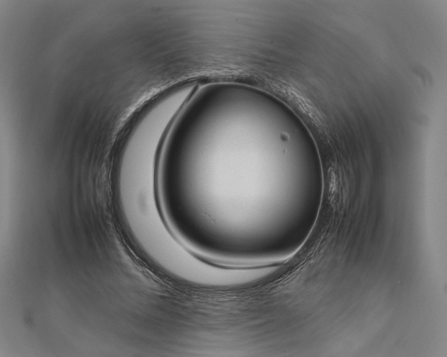 X0000112730684200909031445