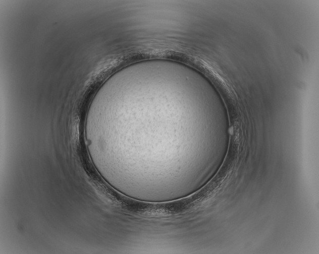 X0000112730685200909031445