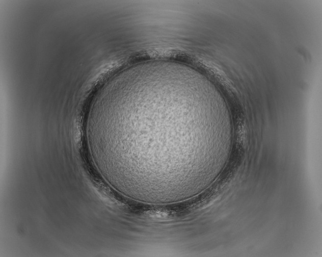 X0000112730687200909031445