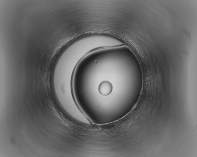 X0000112730688200909031445