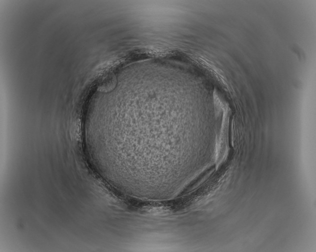 X0000112730689200909031445