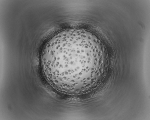 X0000112730691200909031445