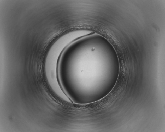 X0000112730692200909031445