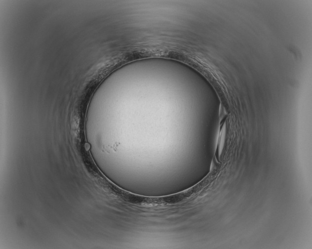 X0000112730693200909031445