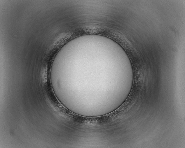 X0000112730694200909031445