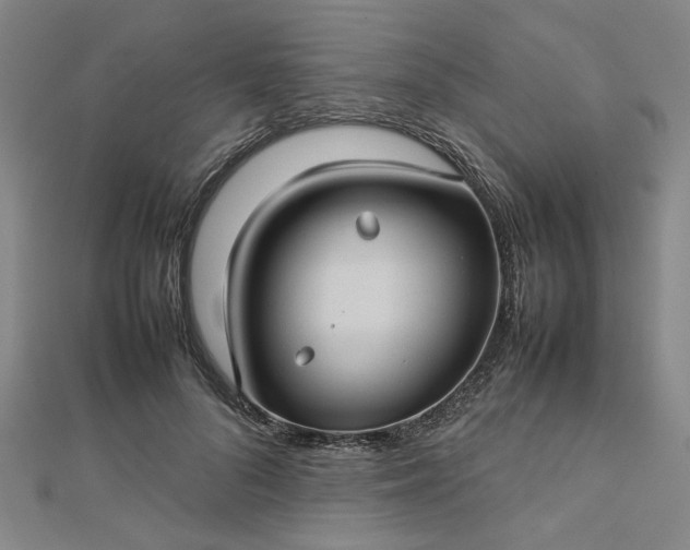 X0000112730696200909031445