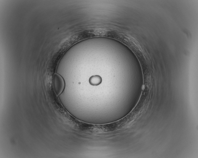 X0000112730697200909031445