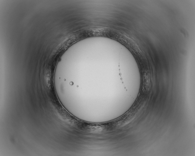 X0000112730698200909031445