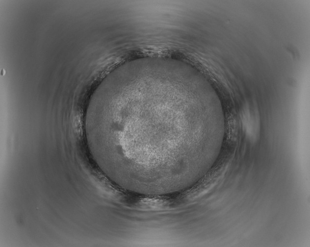 X0000112730699200909031445