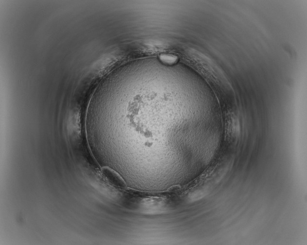 X0000112730700200909031445