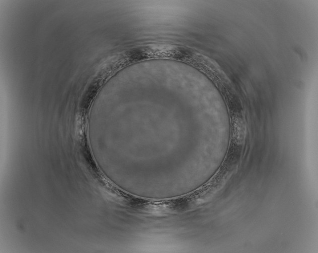 X0000112730701200909031445