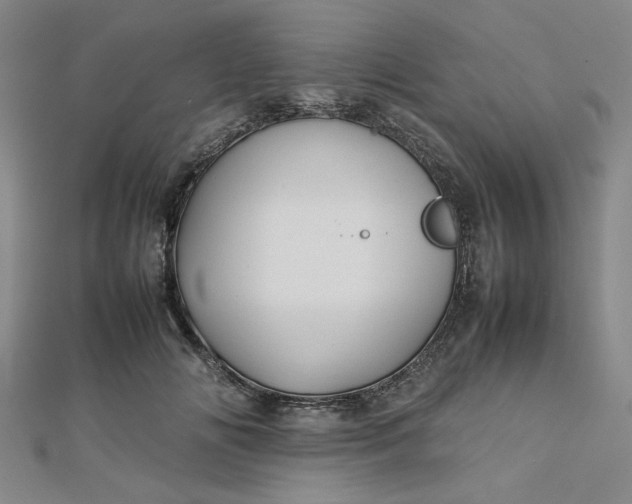 X0000112730702200909031445