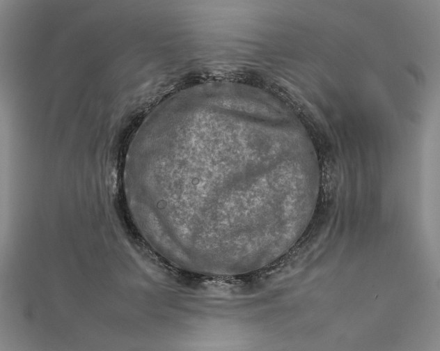 X0000112730703200909031445