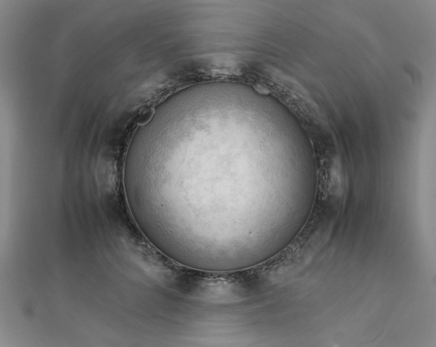 X0000112730704200909031444