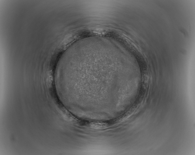 X0000112730707200909031444