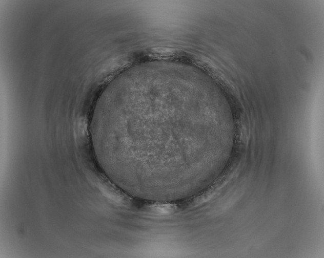 X0000112730711200909031444