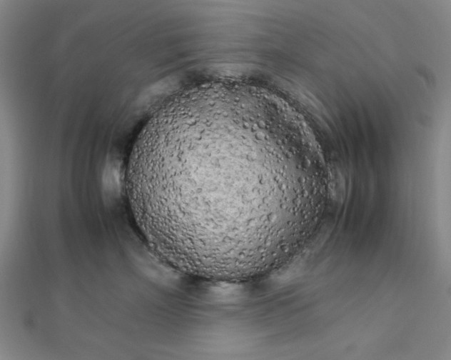 X0000112730718200909031444