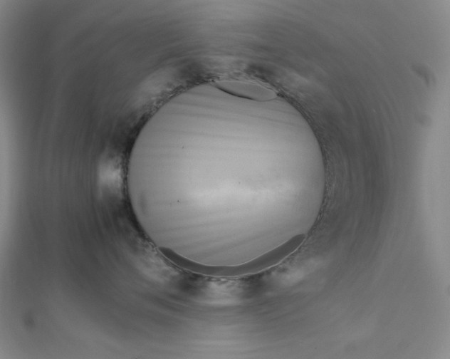 X0000112730720200909031444