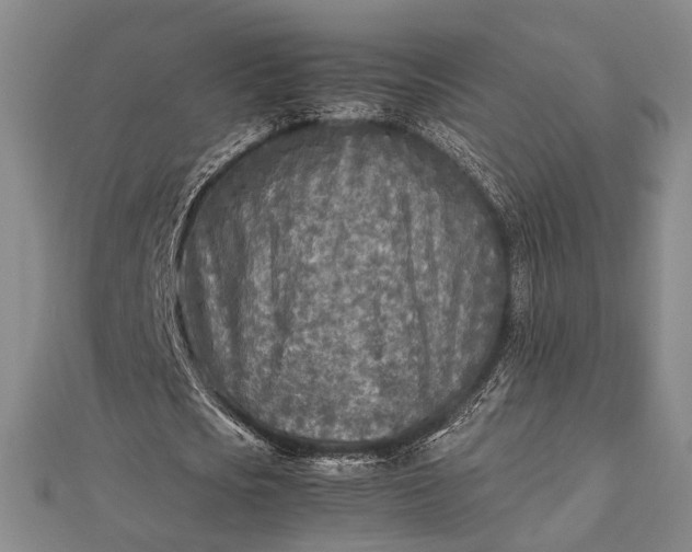 X0000112730721200909031443