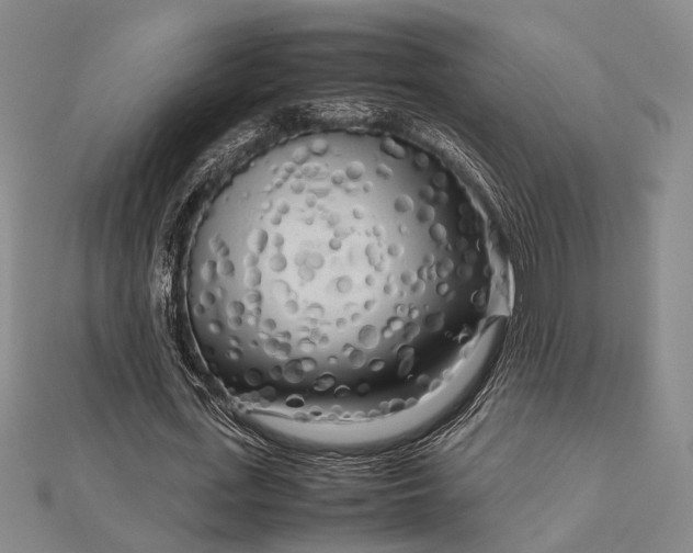 X0000112730723200909031444