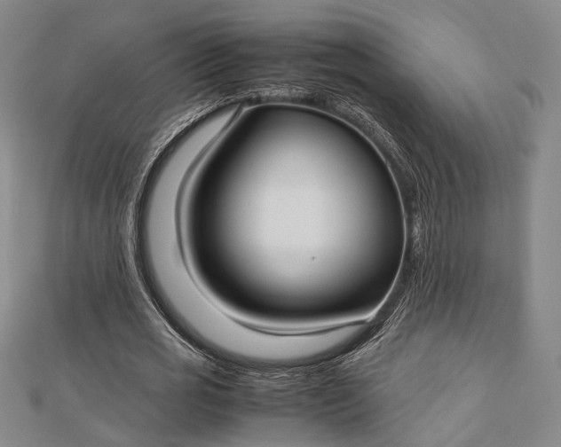 X0000112730725200909031444