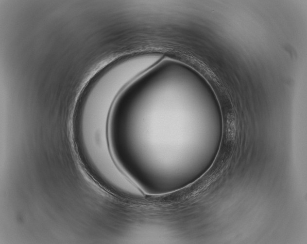 X0000112730726200909031444