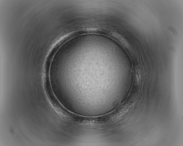 X0000112730728200909031444